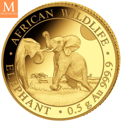 NYHET! Somalia 2024 0,5 gram Gull African Elephant BU i kapsel