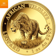Somalia 2023 LEOPARD 1 OZ  GULL AFRICAN WILDLIFE BU I KAPSEL
