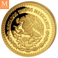 NYHET! Mexico 2022 LIBERTAD GULL 5 MYNTER 1,9 Oz KVALITET PROOF
