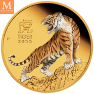 RÅSTILIG! Australia 2024 YEAR OF THE DRAGON 1 OZ GULL KVALITET PROOF