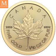 NYHET 2024 Utgaven! Canada 2024 MAPLE LEAF 1/10 OZ GULL KVALITET BU