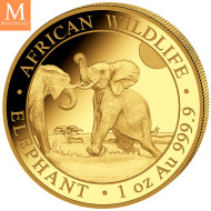 Somalia 2024 ELEPHANT PRESTIGE SET 4 GULLMYNTER 1,85 OZ  AFRICAN WILDLIFE
