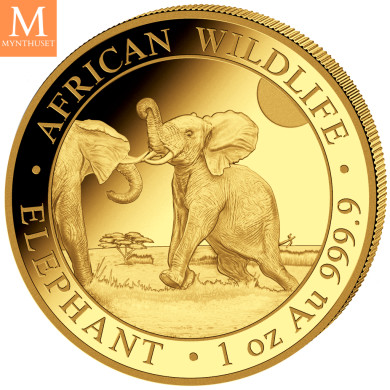 Somalia 2024 ELEPHANT PRESTIGE SET 4 GULLMYNTER 1,85 OZ  AFRICAN WILDLIFE Somalia 2024 ELEPHANT PRESTIGE SET 4 GULLMYNTER 1,85 OZ  AFRICAN WILDLIFE