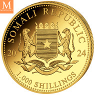 Somalia 2024 ELEPHANT PRESTIGE SET 4 GULLMYNTER 1,85 OZ  AFRICAN WILDLIFE