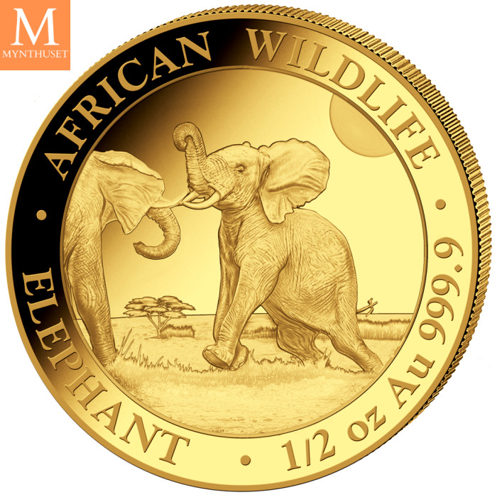 Somalia 2024 ELEPHANT PRESTIGE SET 4 GULLMYNTER 1,85 OZ  AFRICAN WILDLIFE