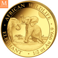 Somalia 2024 ELEPHANT PRESTIGE SET 4 GULLMYNTER 1,85 OZ  AFRICAN WILDLIFE