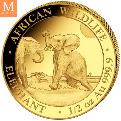 Somalia 2024 ELEPHANT PRESTIGE SET 4 GULLMYNTER 1,85 OZ  AFRICAN WILDLIFE Somalia 2024 ELEPHANT PRESTIGE SET 4 GULLMYNTER 1,85 OZ  AFRICAN WILDLIFE