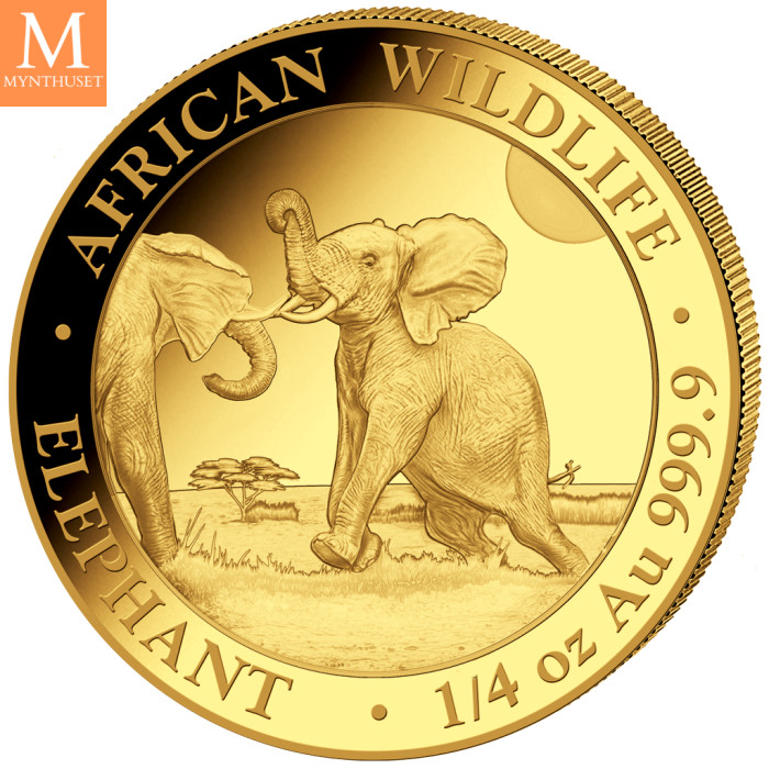 Somalia 2024 ELEPHANT PRESTIGE SET 4 GULLMYNTER 1,85 OZ  AFRICAN WILDLIFE