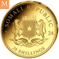 NYHET! Somalia 2024 0,5 gram Gull African Leopard BU i kapsel