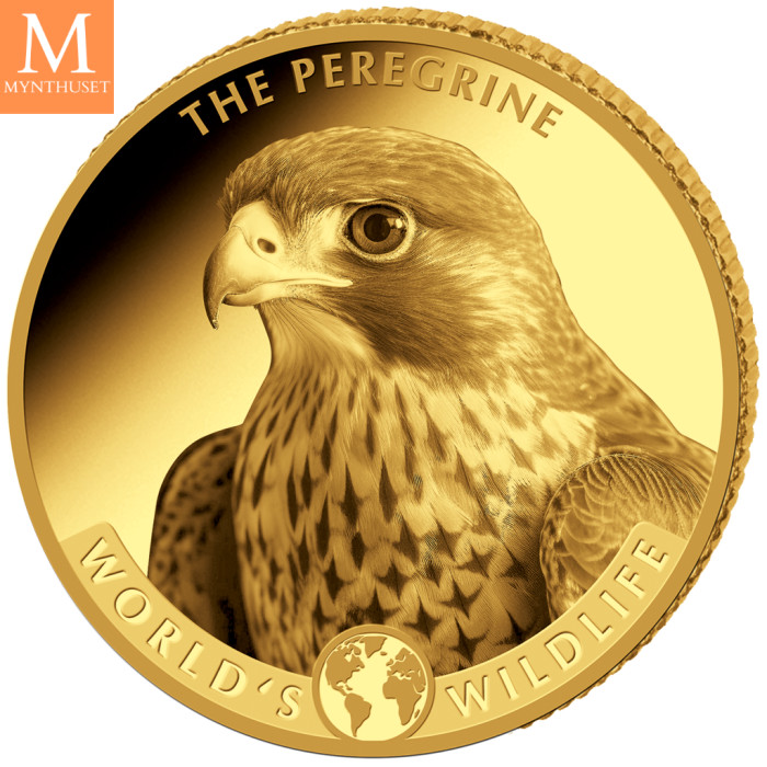 NYHET! KONGO 2024 10 Francs PEREGRINE Worlds Wildlife 0,5 GRAM GULL PROOF I KAPSEL