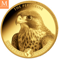 NYHET! KONGO 2024 10 Francs PEREGRINE Worlds Wildlife 0,5 GRAM GULL PROOF I KAPSEL