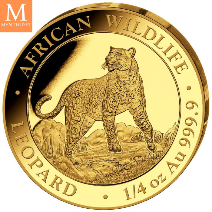 Somalia 2022 LEOPARD PRESTIGE GULL SETT AFRICAN WILDLIFE 4 MYNTER 1,85 OZ PROOF