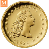 En vanvittig flott mynt! USA 230th Jubileum Flowing Hair Gull 1 OZ kvalitet high Relief