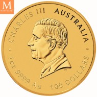 2024 1oz Gull Australia Chinese Myths and Legends Red Dragon And Koi Coloured BU Coin