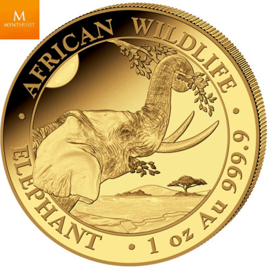 2023 Somalia 1 oz GULL Elephant BU