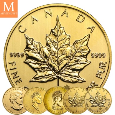 Canada 1 OZ GULL 9999 MAPLE LEAF I KAPSEL DIVERSE ÅR