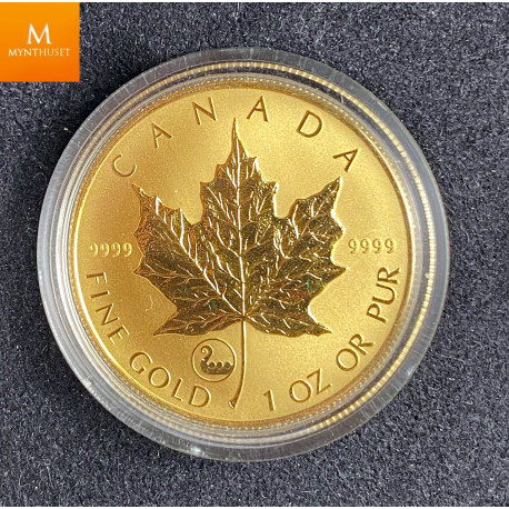 Nydelig Canada gull maple Leaf 2001 Viking Heritage Privy  sett med 1,9 oz rent gull 999 Lavt opplag