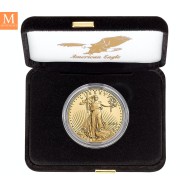 NYHET! American Eagle 2024 1oz gull kvalitet Proof
