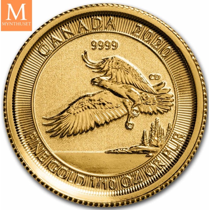 2020 Canada 1/10 oz Gold 5 Dollar Bald Eagle kvalitet BU