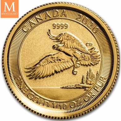 2020 Canada 1/10 oz Gold 5 Dollar Bald Eagle kvalitet BU