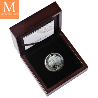 2020 Sør Afrika BIG FIVE LEOPARD 1 OZ PLATINA KVALITET PROOF