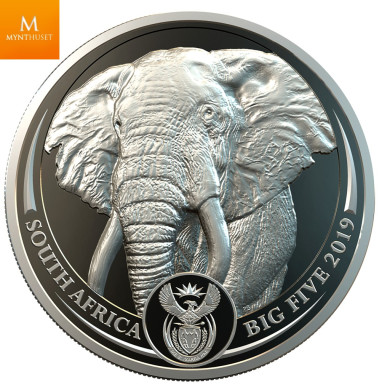 Sør Afrika 2019 BIG FIVE ELEPHANT 1 OZ PLATINUM KVALITET PROOF