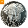 Sør Afrika 2019 BIG FIVE ELEPHANT 1 OZ PLATINUM KVALITET PROOF