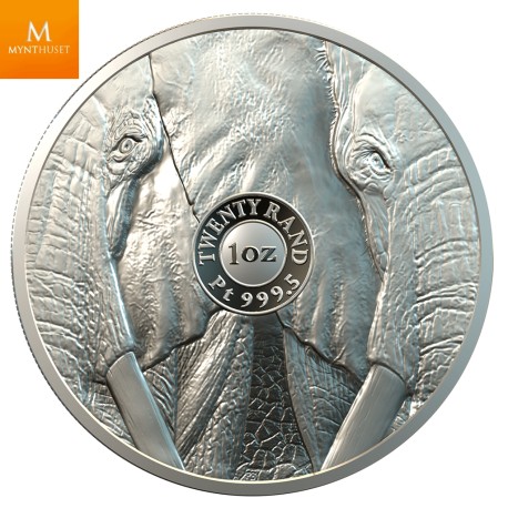 Sør Afrika 2019 BIG FIVE ELEPHANT 1 OZ PLATINUM KVALITET PROOF