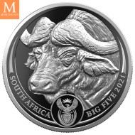 2021 Sør Afrika BIG FIVE Buffalo 1 OZ PLATINA KVALITET PROOF