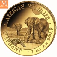 1989 Australia 1 oz platina Koala BU M/Kapsel