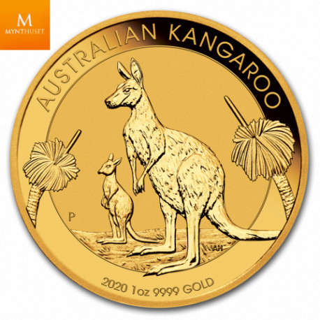 Australian 2019 1 oz Kangaroo Gold Coin BU i kapsel