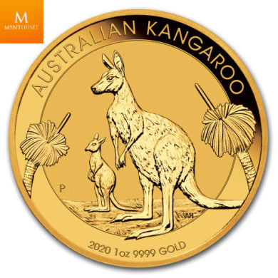 Australian 2019 1 oz Kangaroo Gold Coin BU i kapsel