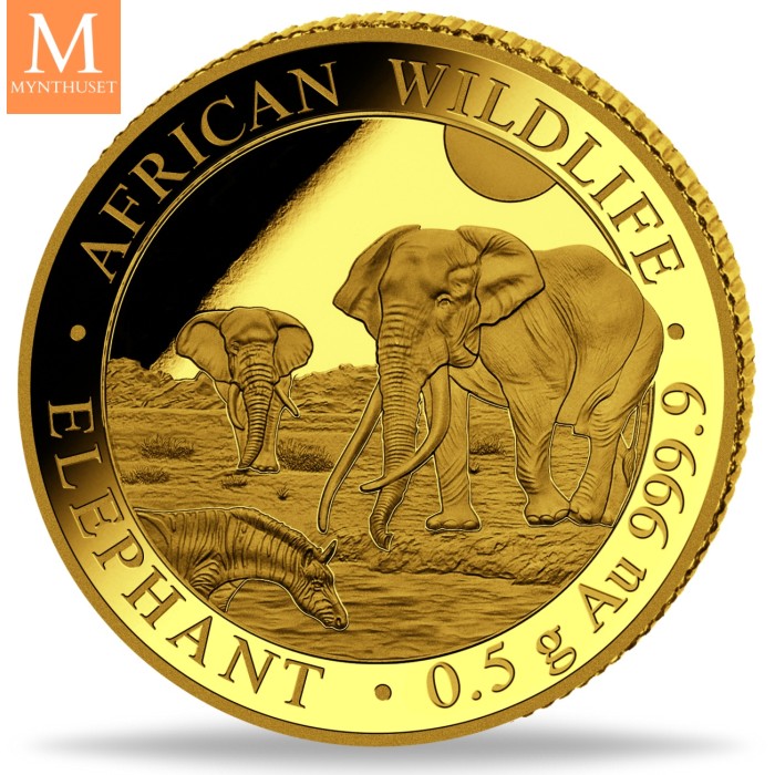 2026 Somalia 0,5 gram Gull African Elephant BU i kapsel