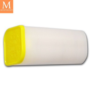 2020 Storbritannia 1/10 oz Platina Britannia BU Med kapsel