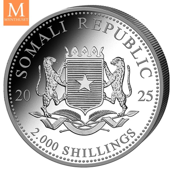 2025 Somalia LEOPARD 1 KILO AFRICAN WILDLIFE OPPLAG KUN 500 MYNTER