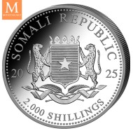 2025 Somalia LEOPARD 1 KILO AFRICAN WILDLIFE OPPLAG KUN 500 MYNTER