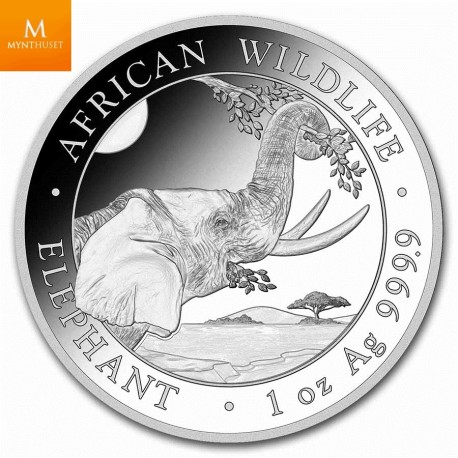 2023 Somalia 1 oz Sølv Elephant BU