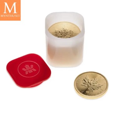 Tube med 10 stk Maple Leaf 1 oz gull (10ozt)
