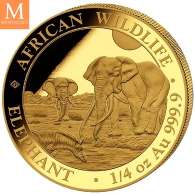 2026 Somalia 1/4 oz Gull African Elephant BU i kapsel