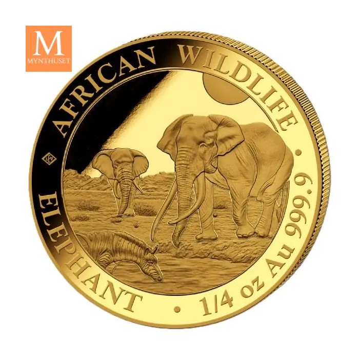 2026 Somalia 1/4 oz Gull African Elephant BU i kapsel