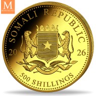 2026 Somalia 1/2 oz Gull African Elephant BU i kapsel
