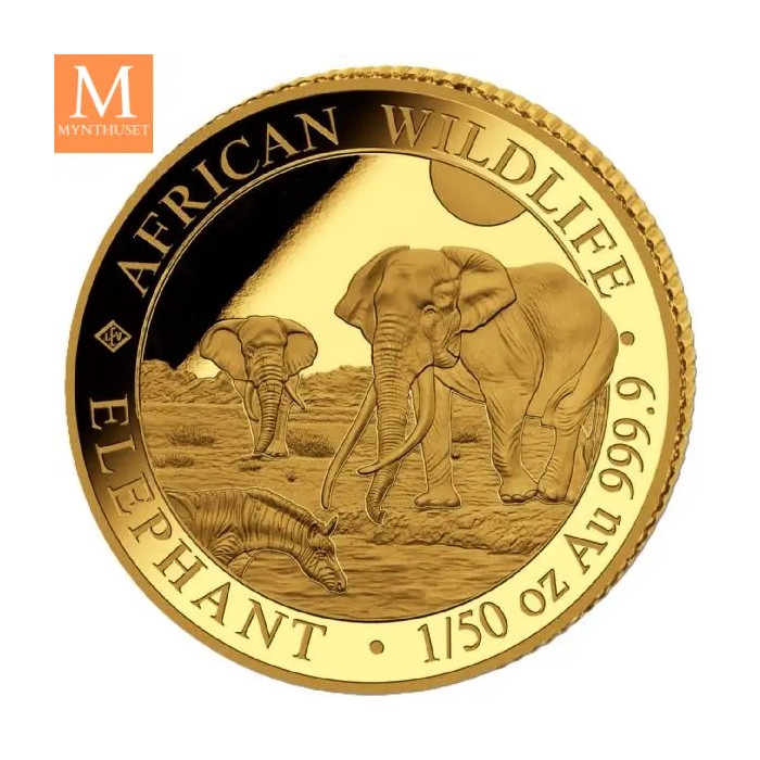 2026 Somalia 1/50 oz Gull African Elephant BU i kapsel