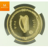 Ireland gull 100 Euro 2008 15,55 gram 999 Polaråret kvalitet Proof , NGC PF70 UCAM