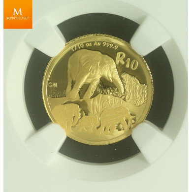 2008 Sør Afrika gull 10 Rand kvalitet proof, NGC PF70 UCAM