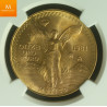 MEXICO 1981 GULL 1 ONZA LIBERTAD KVALITET 0 NGC MS 66