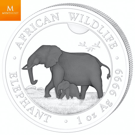 Somalia 2022 ELEFANT "BLACK & WHITE"  SETT 2 X 100 SHILLINGS AFRICAN WILDLIFE KVALITET BU I SKRIN MED COA