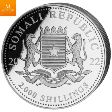 Somalia 2022 LEOPARD 1 KILO AFRICAN WILDLIFE OPPLAG KUN 500 MYNTER Somalia 2022 LEOPARD 1 KILO AFRICAN WILDLIFE OPPLAG KUN 500 MYNTER