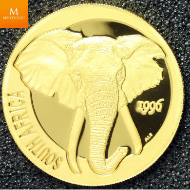Sør Afrika Natura 1996 Elephant , 1 oz rent gull i kvalitet proof, NGC PF69 Sør Afrika Natura 1996 Elephant , 1 oz rent gull i kvalitet proof, NGC PF69