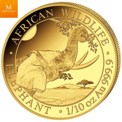 Somalia 2023 1/10 oz Gull African Elephant BU i forseglet plast Somalia 2023 1/10 oz Gull African Elephant BU i forseglet plast