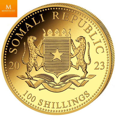 Somalia 2023 1/10 oz Gull African Elephant BU i forseglet plast Somalia 2023 1/10 oz Gull African Elephant BU i forseglet plast